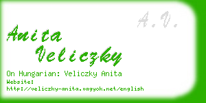 anita veliczky business card